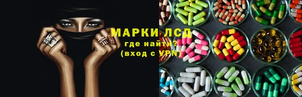 PSILOCYBIN Баксан
