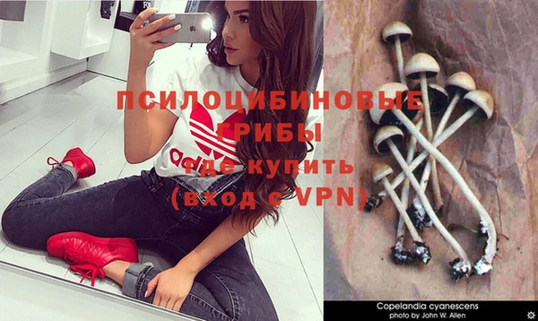 PSILOCYBIN Баксан