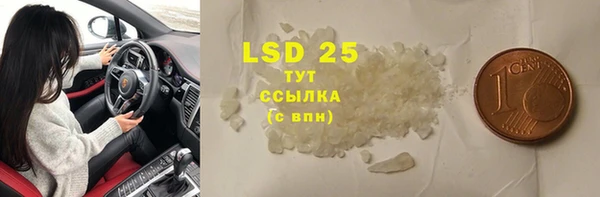 PSILOCYBIN Баксан
