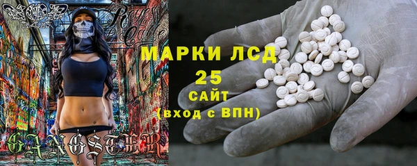 прущие грибы Арсеньев
