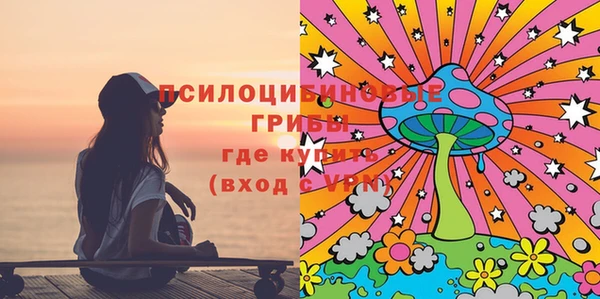 метадон Карпинск