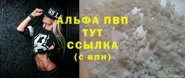 PSILOCYBIN Баксан