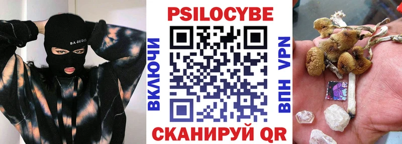 дарнет шоп  Радужный  Псилоцибиновые грибы Psilocybine cubensis 